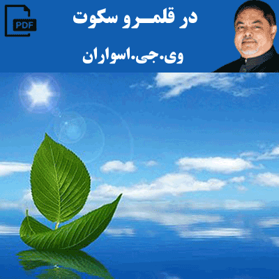 در قلمرو سکوت - وی جی اسواران
