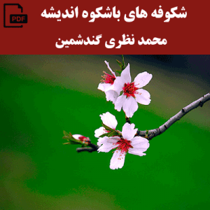 شکوفه های باشکوه اندیشه - محمد نظری گندشمین