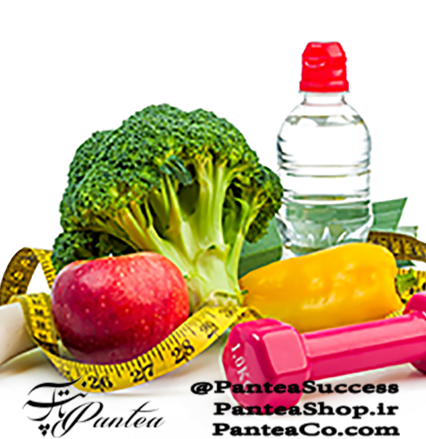 کتاب ورزش،تغذیه،تناسب اندام