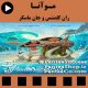 انیمیشن موآنا (Moana 2016) - تولید سال 2016 همراه با دوبله فارسی